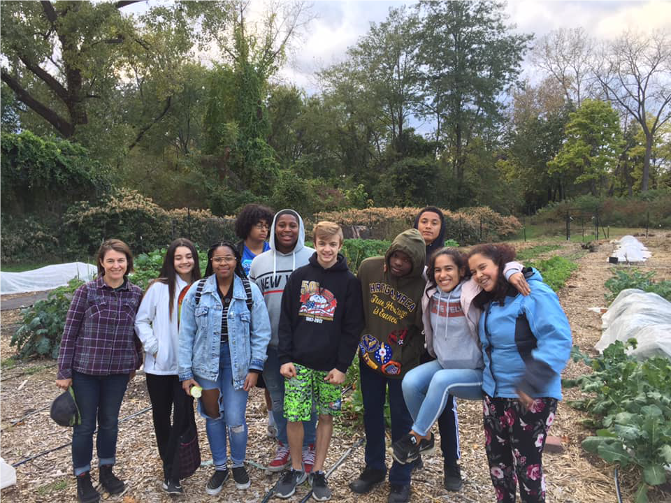 OEJ Grants project pic