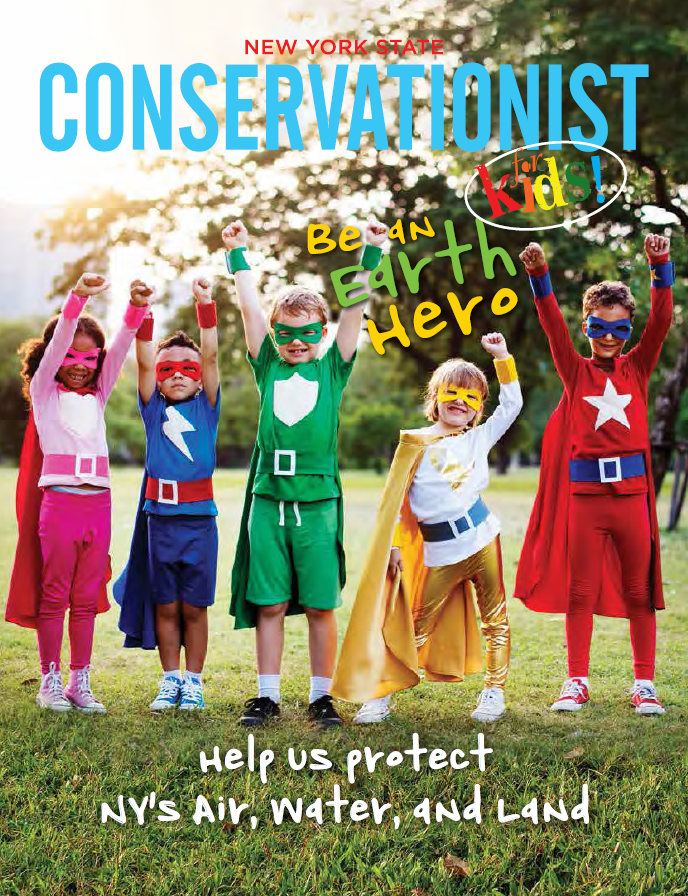 Conservationist for Kids