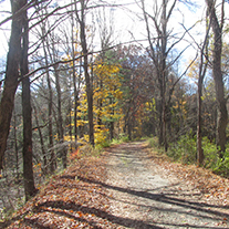 Mamakating Rail Trail in Mamakating, NY