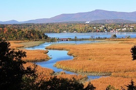 This is a scenic view of a tidal marsh in the foreground with a mountain in the background during the autumn.