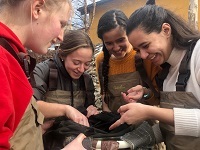 5 young women in brown waders gather around a net looking for glass eels.