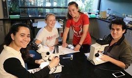 Four students gather around two microscopes in a science lab.