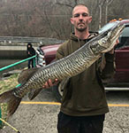 Tiger muskellunge
