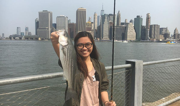 Striped bass courtesy of Peter Park