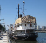 Lilac at NYC Pier 25