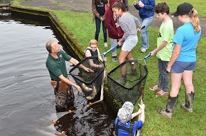 Students participating at Hale Creek Field Day