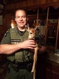 Environmental Conservation Officer holding a fawn