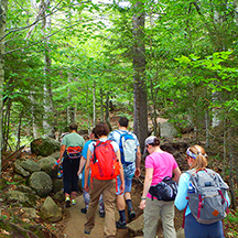 A group being led on a hike through the catskill mountains