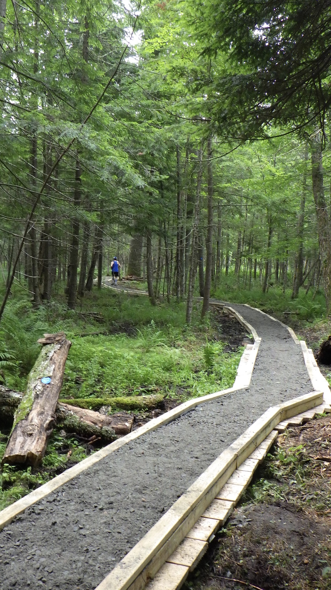 New Trail