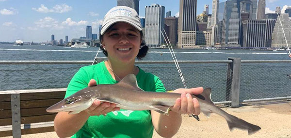Smooth dogfish courtesy of Peter Park (see 7/28)