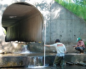 Two people measure and record the size of a large, perched culvert high above a stream. Photo by Trout Unlimited.