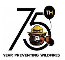 Smokey bear image