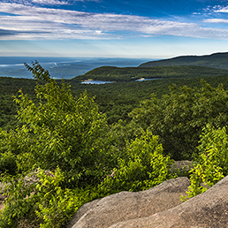 View from a hike up to North Point overlooking the escarpment trail with catskill waters in the background
