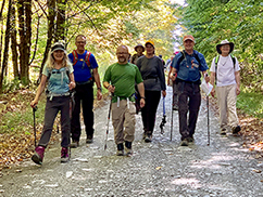 A group of hikers from the Finger Lakes Trail Conference hiking together using hiking sticks