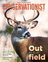 October Conservationist