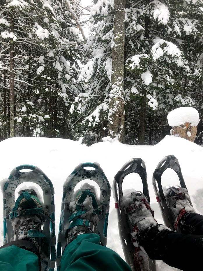 Snowshoes