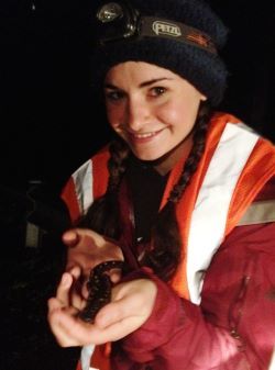 A young woman in a safety vest holds a spotted salmander at night.