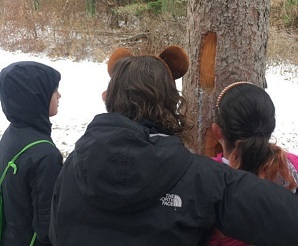 Children looking at a tree