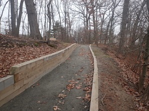 Lemon Creek Trail in the fall