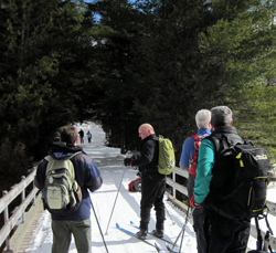 Skiers at Winter Weekend