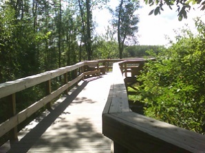 Accessible boardwalk