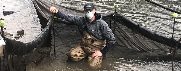A man in brown wader and a black rain coat squats in stream by a long black net with yellow tennis balls on top.