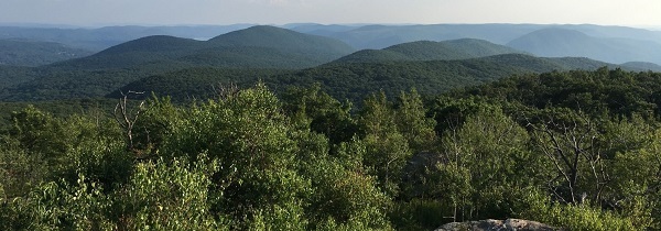 View of forested mountains in summer with a distant view of the Hudson River