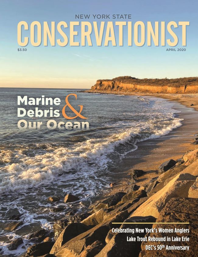 Cover of April 2020 Conservationist