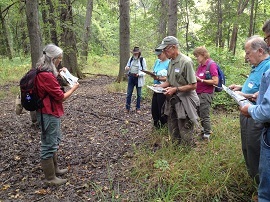 A woman in a red shirt stands on a path in the woods showing a map to a group of 6 people who are also studying maps.