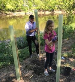 An older man steadies a green tree tube behind his granddaughter who is doing the same.