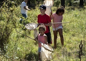 Children holding nets