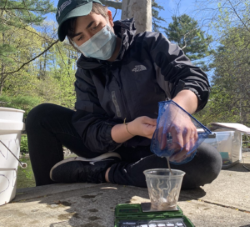 A young woman wears a surgical mask while sitting outside taking eels from a small net and placing them in a clear glass.