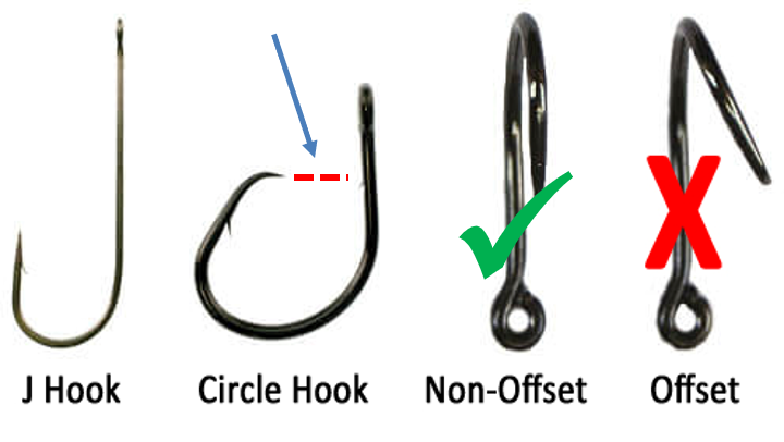 Example of non-offset circle hooks 