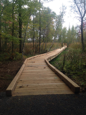 Kenneth L. Wilson Day Use Area, Ulster County