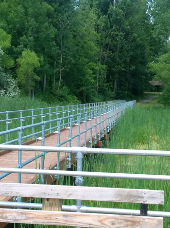 Oak Orchard WMA, Orleans and Genesee counties