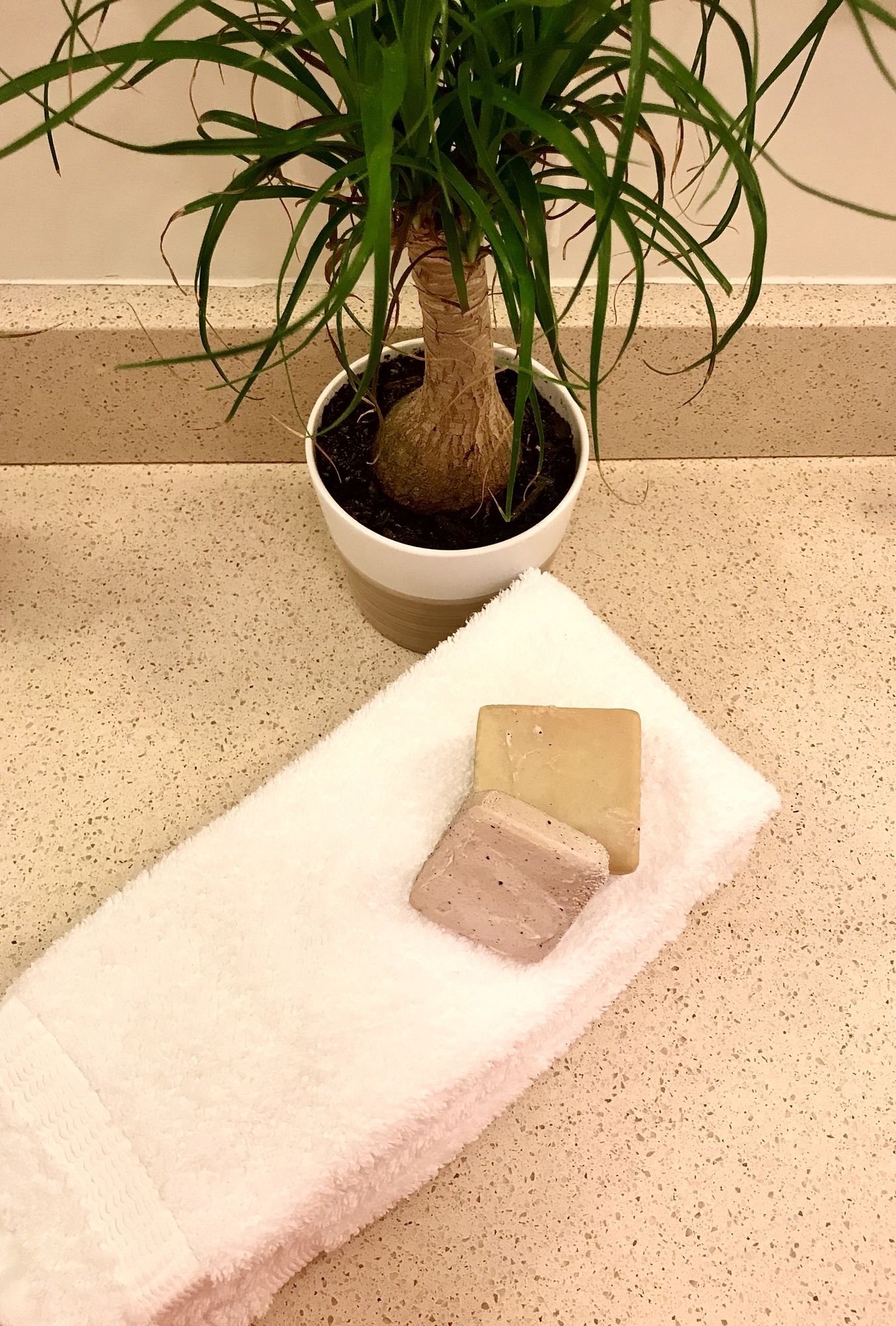 Bar of Soap