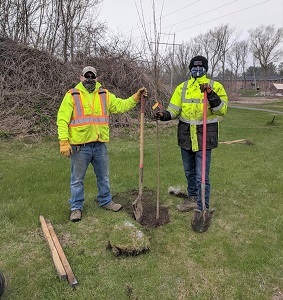 two men in neon jackets and winter clothing stand near a newly-planted tree in Glenville