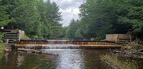 Fish barrier dam on Little Fish Pond