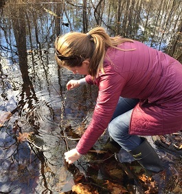 A woman in a jacket bends down to look at frog's eggs in a woodland pool.