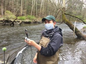 A young woman wearing a mask is in waders in a stream by an eel net and is holding a phone.
