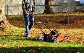 Man shredding leaves with lawnmower