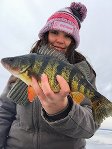 Ice angler with yellow perch