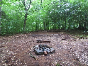 a primitive campsite with a fire ring in the woods