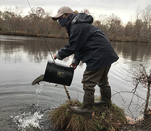 Long Island Trout Stocking