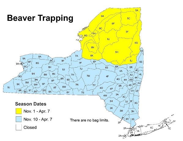 NYS map showing beaver trapping dates