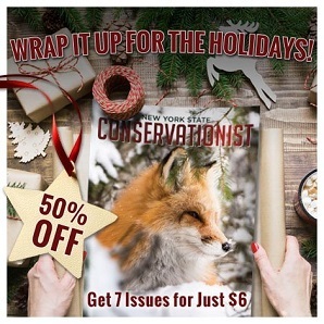 Holiday cover of Conservationist