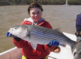 A woman on a boat holds a large striped bass.