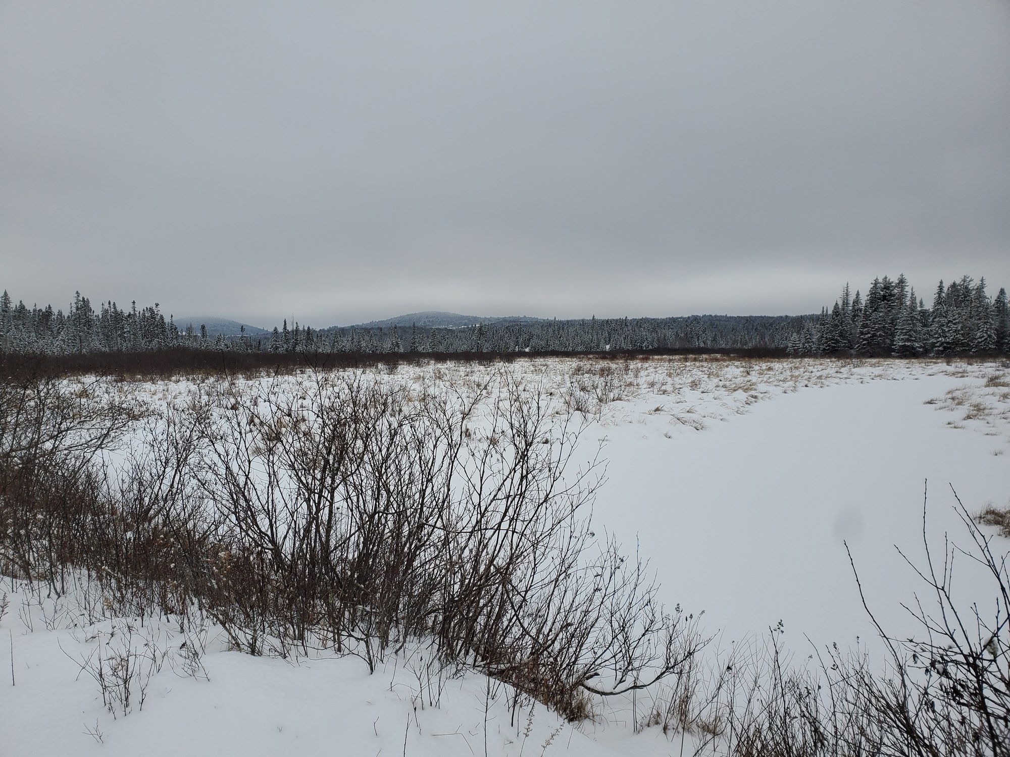 View over snowy bog