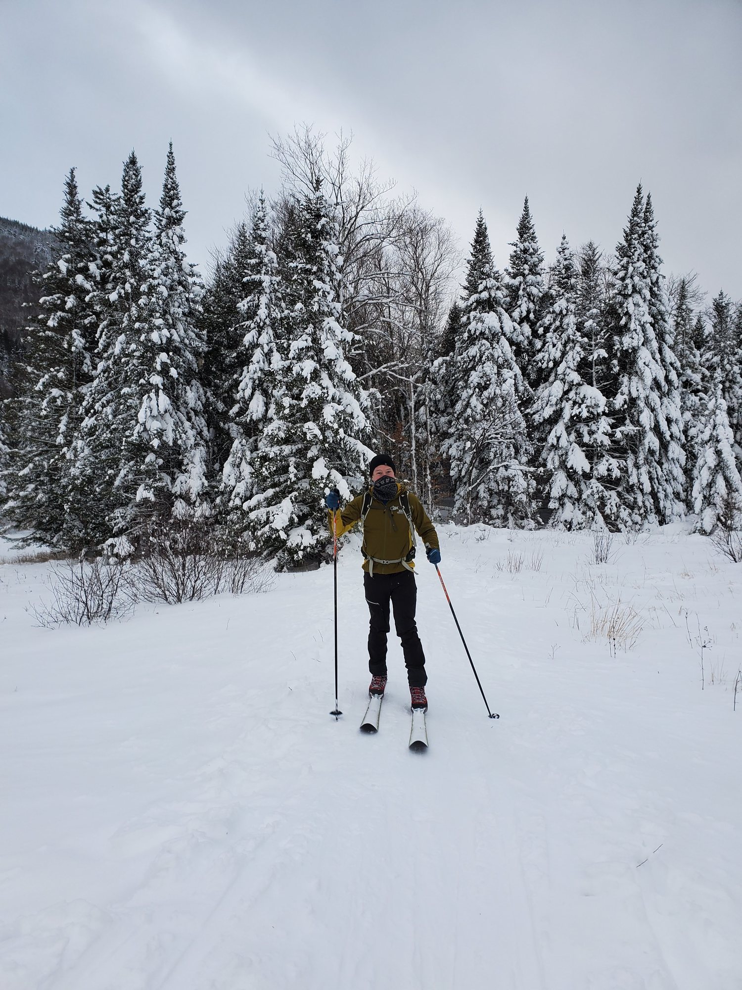 Cross-Country Skier