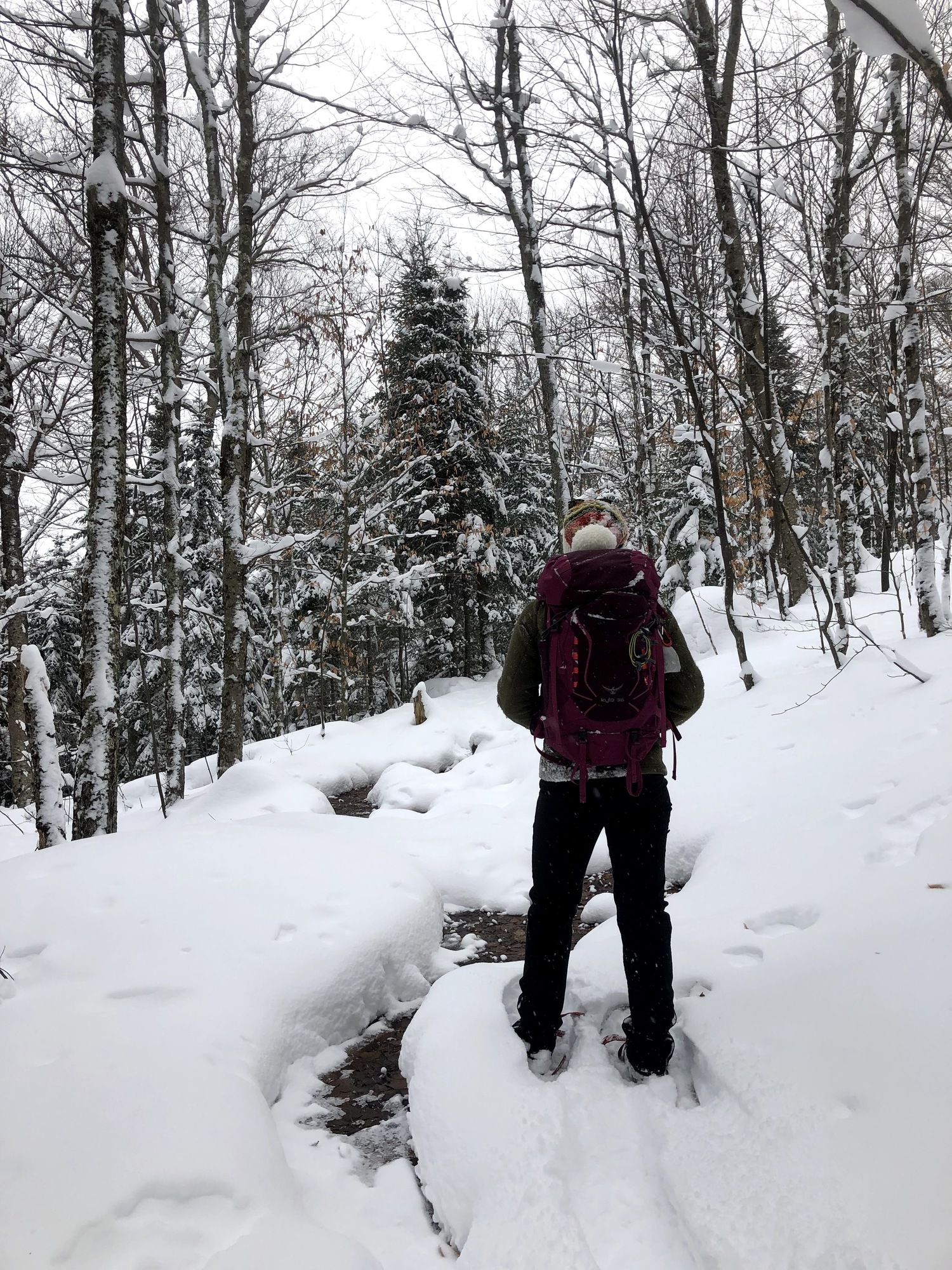 Hiker wearing snowshoes on trail
